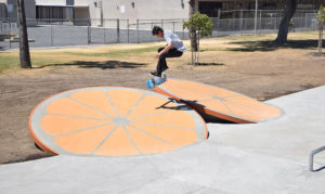 Palm Lane Skatepark