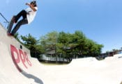 Brandon Blunt Fakie at a Point Pleasant Beach steep transition